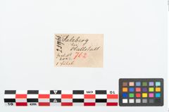 Etikett zu Bronzekahnfibel (NHMW-PRAE-025966)